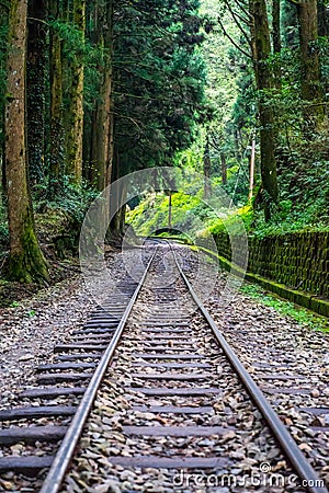 Single railway in a secluded rainforest Stock Photo