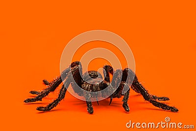 Single real tarantula spider on orange background. Creepy Halloween concept with blank space for text Stock Photo