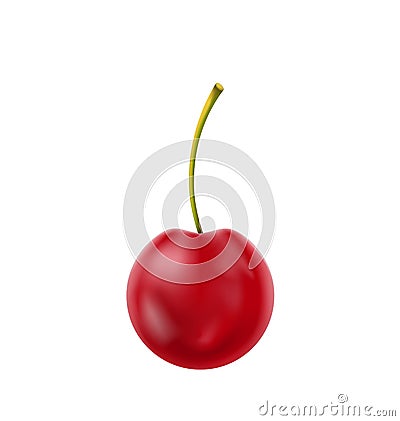 Single Realistic Cherry Isolated on White Background Vector Illustration