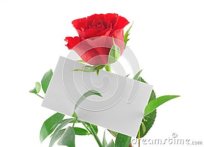 Single red rose with blank love note Stock Photo