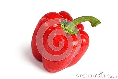 Single red sweet pepper. Stock Photo