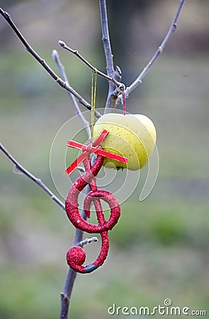 Single ripe apple on a tree Stock Photo