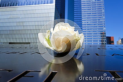 Single rose left at Ground Zero memorial Editorial Stock Photo