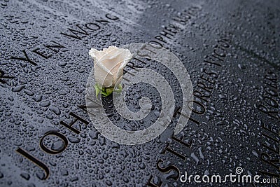 Single Rose 9-11 Memorial Editorial Stock Photo