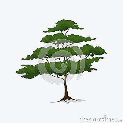 vector of shady tree with many branches Stock Photo