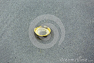 Single shell on sand Stock Photo
