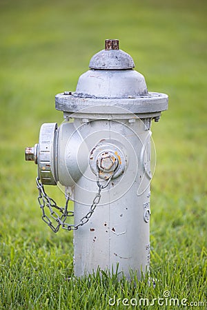 A single silver fire hydrant on a front lawn of grass Stock Photo