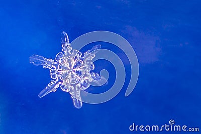 Single snow flake on blue background Stock Photo