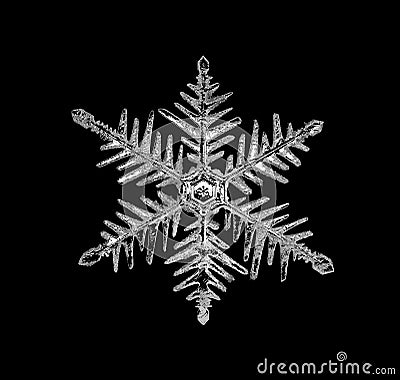 Single Snowflake On Black Background Stock Illustration - Image: 61669277
