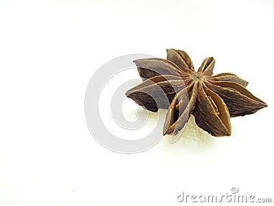 Single star anise Stock Photo