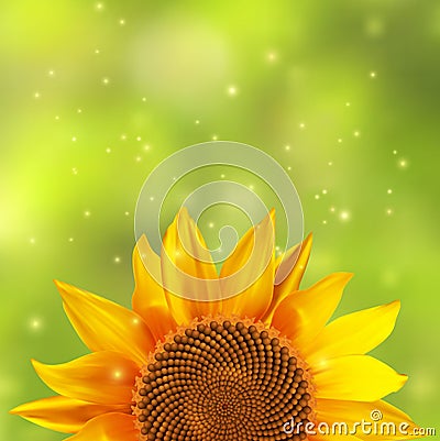 Single sunflower with a blurred green background Vector Illustration