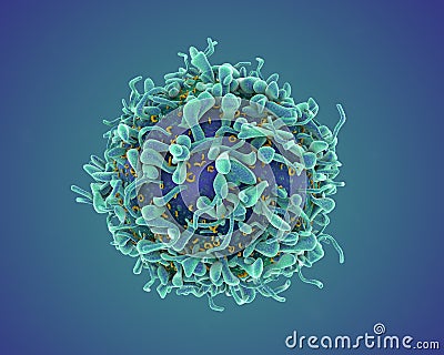 Single T-cell Stock Photo