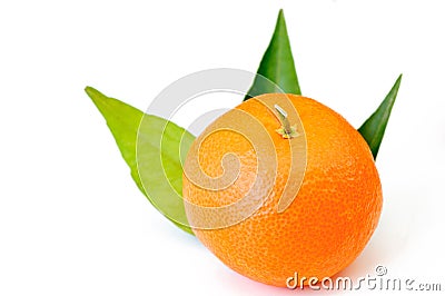Single tangerine or mandarin isolated Stock Photo
