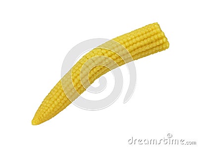 Single Tiny Limp Corn Cob
