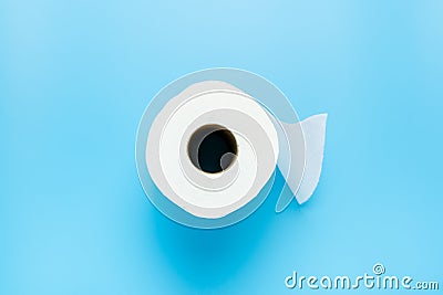 Single toilet paper roll Stock Photo