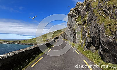 Single Track Coast Road at Slea Head in Dingle Peninsula, Ireland. Stock Photo