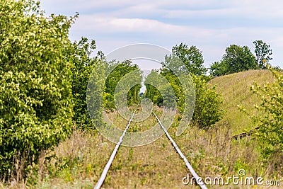 Single-track railroad going into the distance among green trees Stock Photo