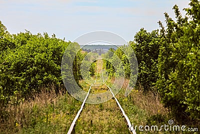 Single-track railroad going into the distance among green trees Stock Photo