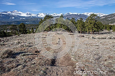 A single track trail descends into the trees and valley in front of snow covered mountain peaks. Stock Photo
