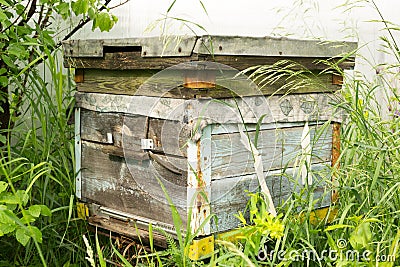 Single Traditional Wooden Beehive Stock Photo