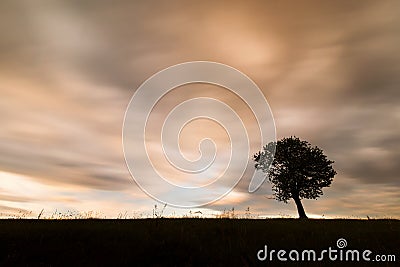 Single tree with amazing colourful and motion clouds in background Stock Photo