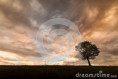 Single tree with amazing colourful and texture clouds in background Stock Photo