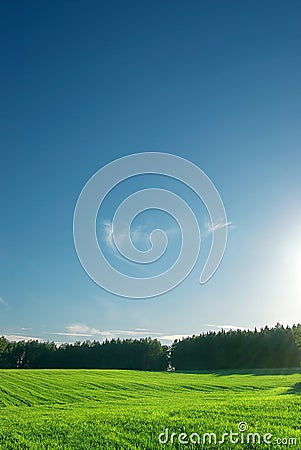 Single tree, greenfield and forest Stock Photo