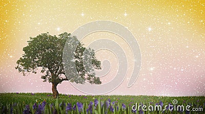 Single tree on a meadow Cartoon Illustration