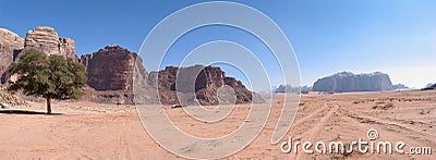 Single tree and road wadi rum Stock Photo