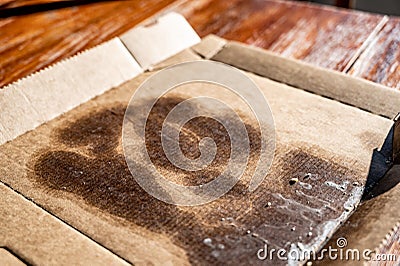 Food contaminated nonrecyclable cardboard pizza box Stock Photo