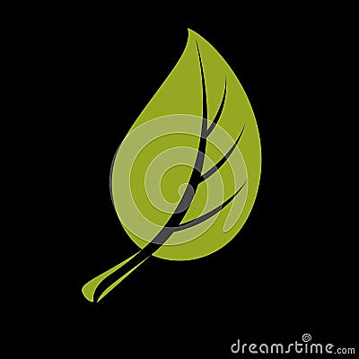 Single vector flat green leaf. Herbal and botany art symbol Vector Illustration