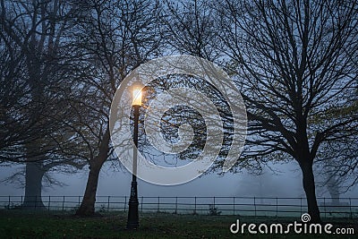 Single vintage street lamp illuminating trees in the thick fog in Farmleigh Phoenix Park, Ireland Stock Photo