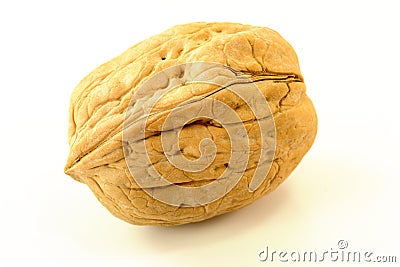 Single Walnut Stock Photo