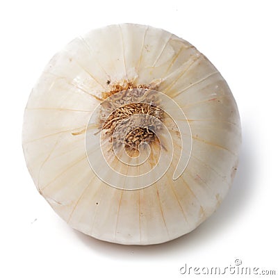 Single white onion isolated Stock Photo