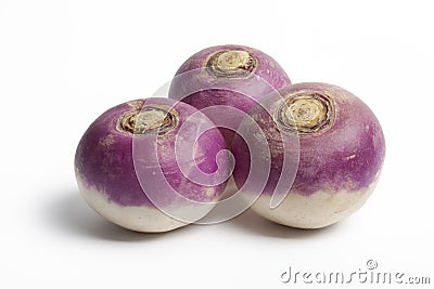 Single whole purple headed turnips Stock Photo