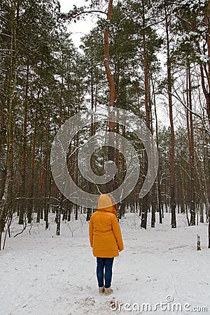 Single woman in yellow jacket walking in frozen snowy forest Stock Photo