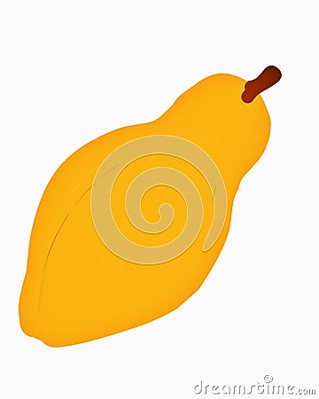 Single yelloe ripe papaya icon illustration Cartoon Illustration