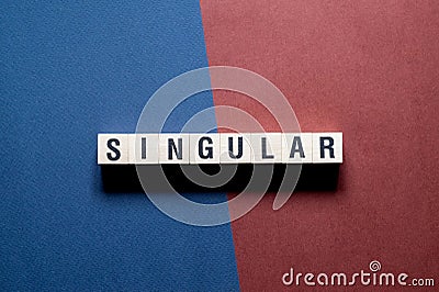 Singular word concept on cubes Stock Photo