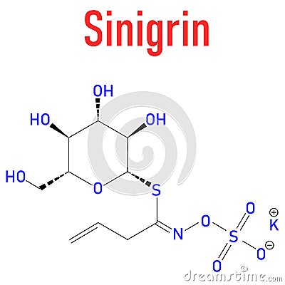 Sinigrin glucosinolate molecule. Skeletal formula. Chemical structure Vector Illustration