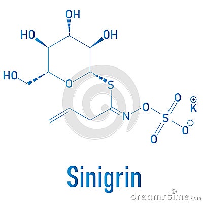 Sinigrin glucosinolate molecule. Skeletal formula. Chemical structure Vector Illustration