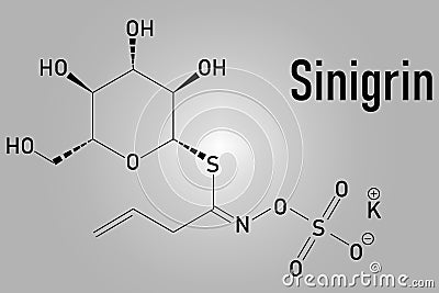 Sinigrin glucosinolate molecule. Skeletal formula. Chemical structure Vector Illustration