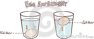 Sink Or Float Egg Freshness Test Vector Illustration