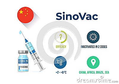 SinoVac covid-19 vaccine efficacy infographics Vector Illustration