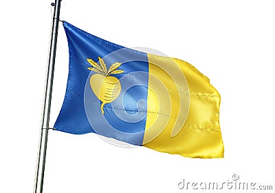 Sint-Niklaas of Belgium flag waving isolated on white background Cartoon Illustration