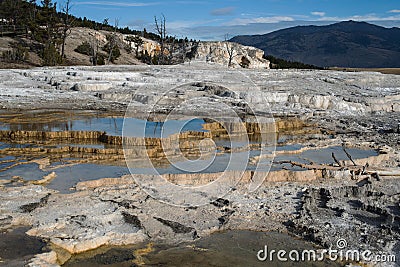Sinter Terraces at Mammoth Hot Springs Stock Photo