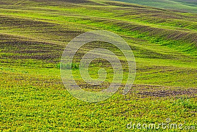 Sinuous hills in tuscany countryside Italy Stock Photo