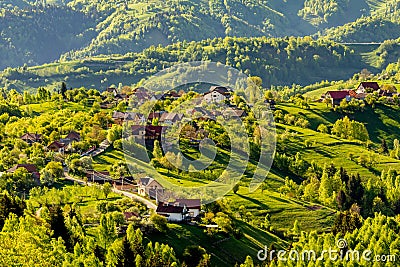 Sinuous road and a few households bathed by warm sunset light, Transylvania, Romania Stock Photo