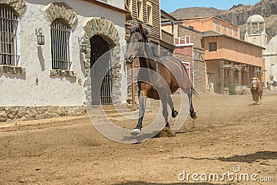 Sioux City Park horse riding Editorial Stock Photo