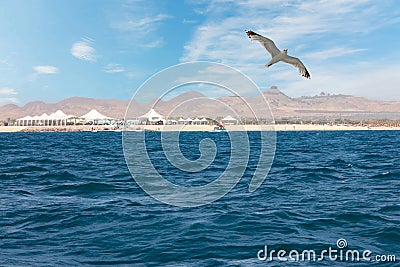 Sir Bani Yas island sea view, Abu Dhabi Stock Photo