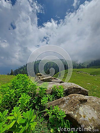 Siri Paye Meadows, Kaghan Valley, Pakistan ðŸ‡µðŸ‡° Stock Photo